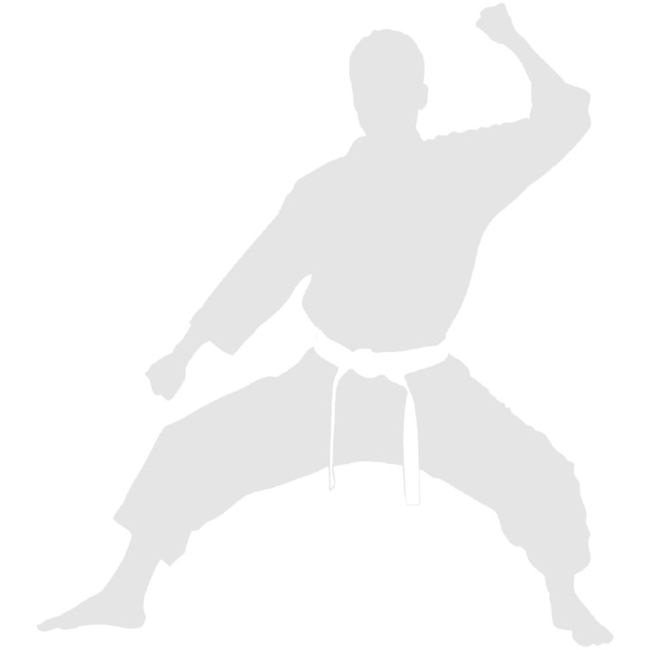 Curso de judo/jiu-jitsu/defensa-personal